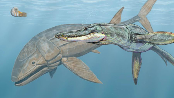 The Biggest Fish in the World