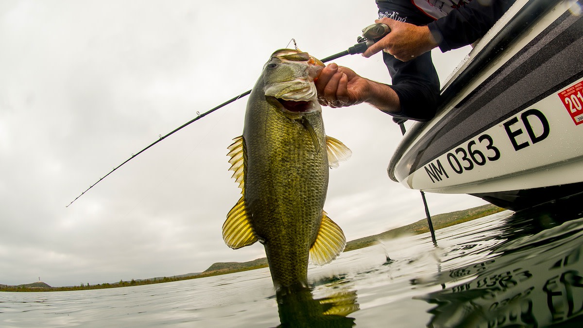 Fishing Articles, Angler Strategies