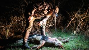 5 Best Hog Hunting Cartridges