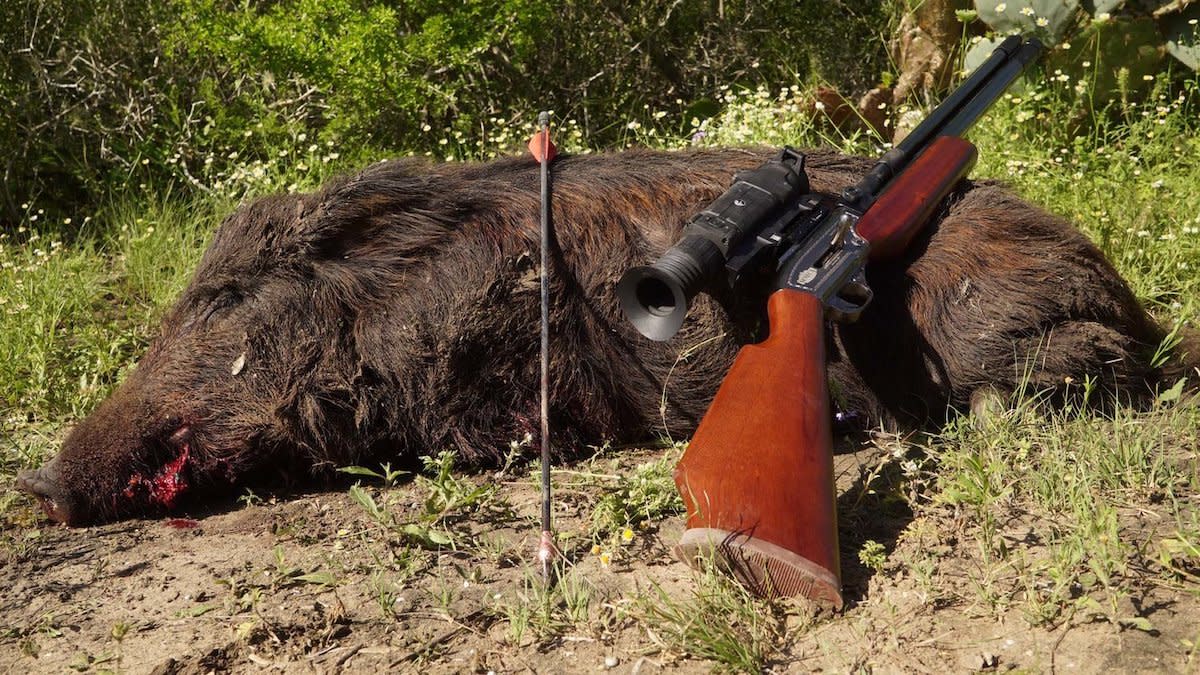 Are BB Guns Good for Hunting? Our Expert Opinion
