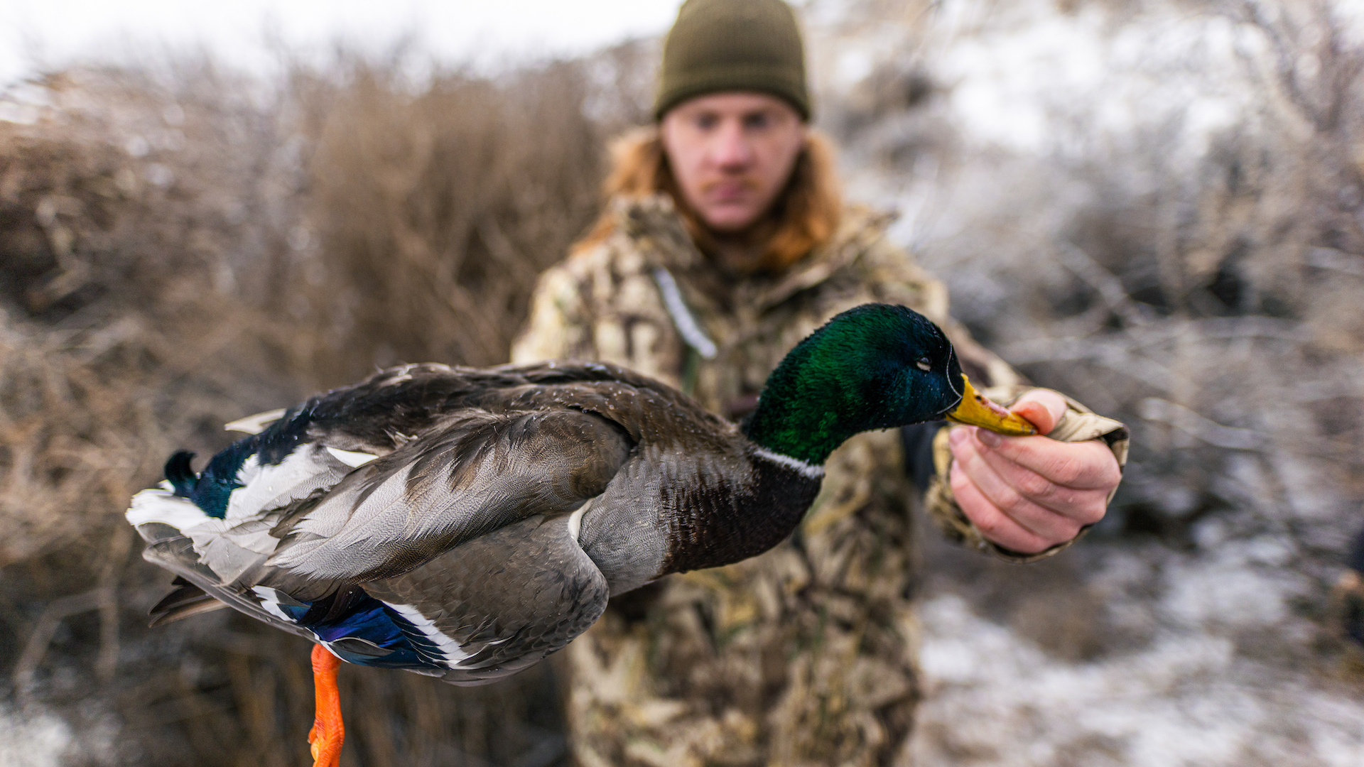 Best on sale waterfowl jacket