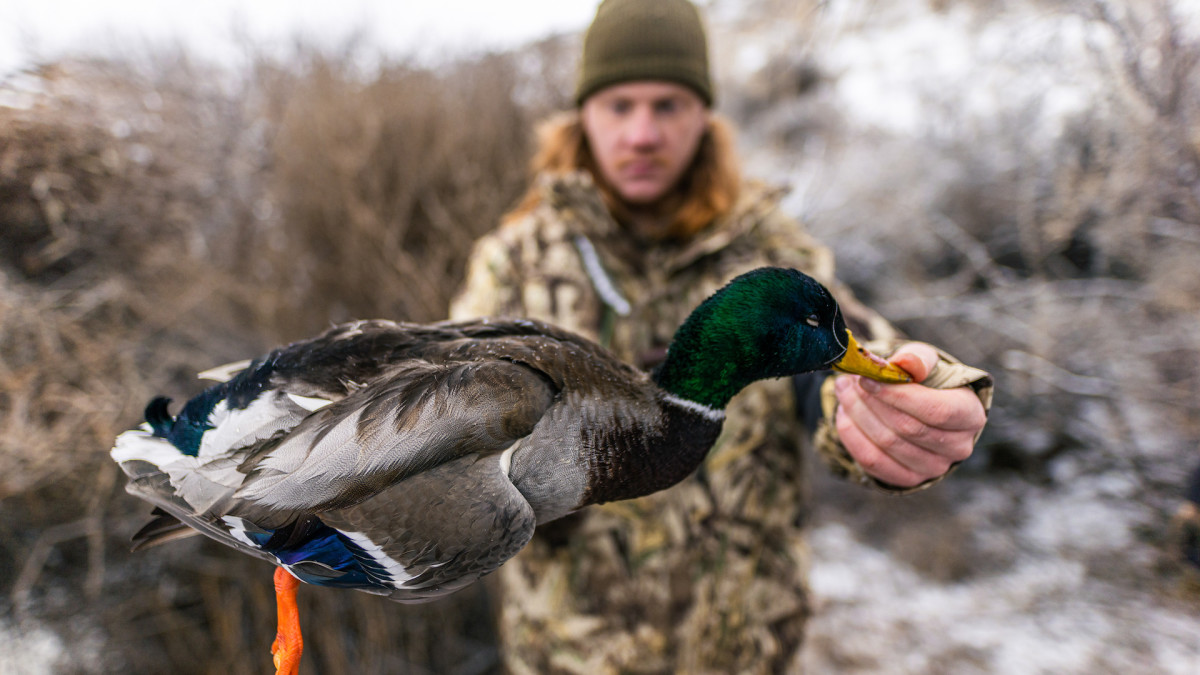 A Quick Guide to Run-and-Gun Duck Hunting