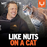 Ep. 826: Like Nuts on a Cat