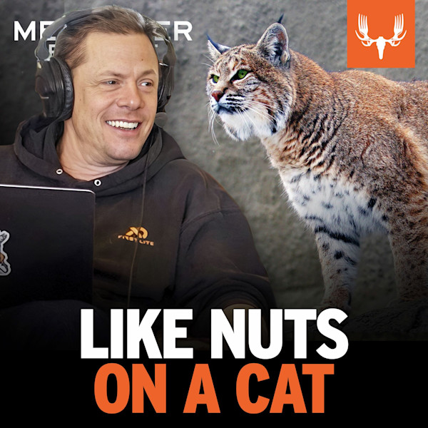 Ep. 826: Like Nuts on a Cat
