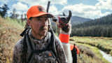 Act Now to Protect the Roadless Rule