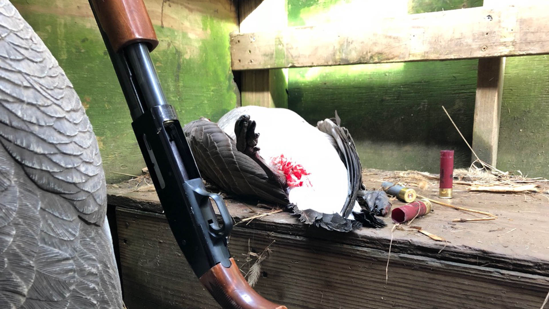 Mossberg500