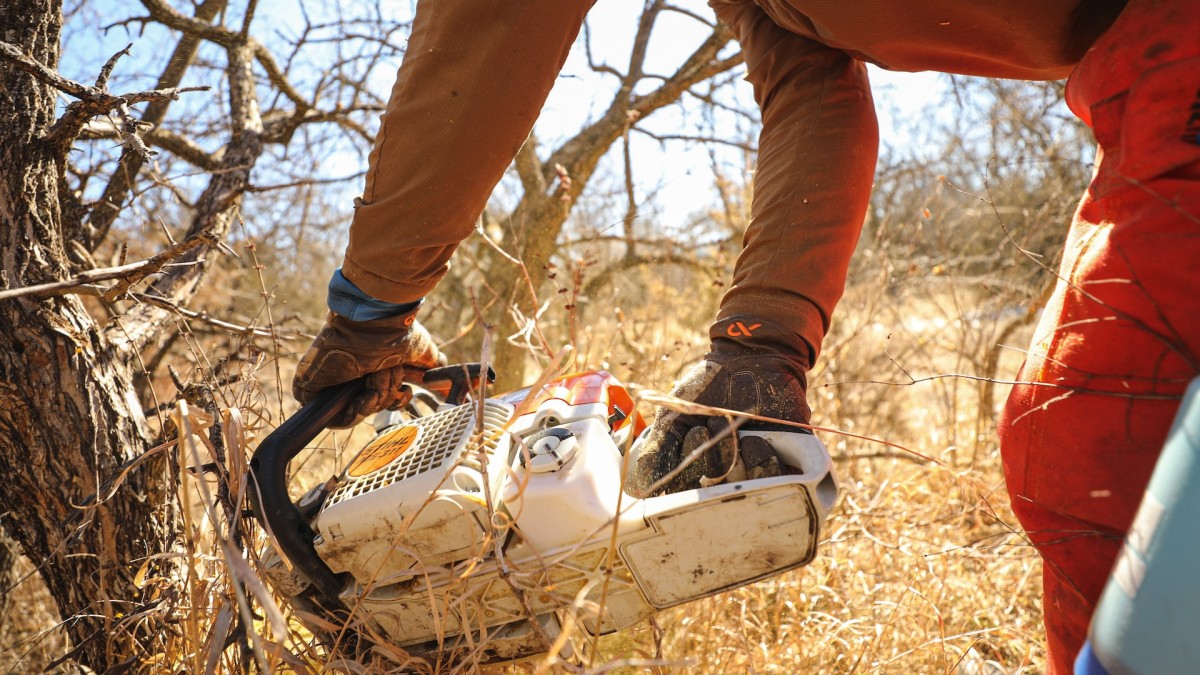 Are Summer Food Plots Actually Worth It?