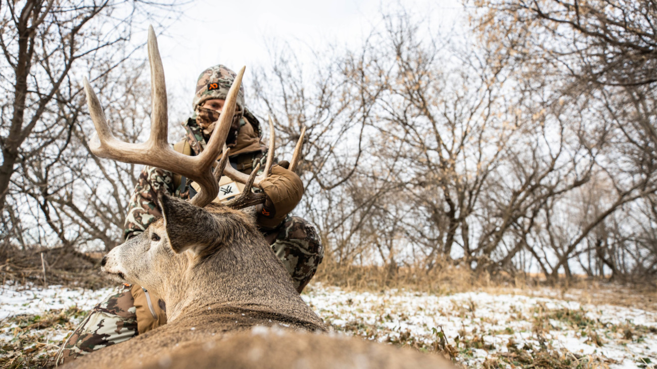 How to Reap a Whitetail Buck