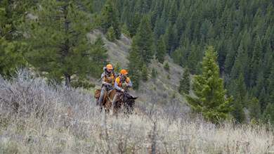 Montana Black Bear Hunting with Clay Newcomb