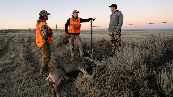 11212023_SR_MT_Mule_Deer -1-2.jpg
