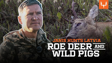 Roe Deer and Pigs | Janis Returns to Latvia