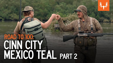 Cinn City | Mexico Teal Part 2