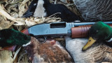 4 Waterfowl Shotguns That Have Stood the Test of Time