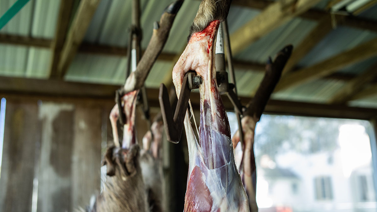 Is Hanging Meat Worth It?