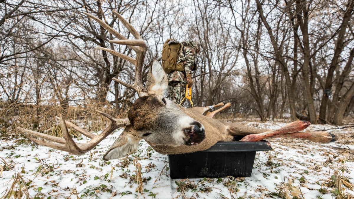 How to Start Training for Deer Season Now