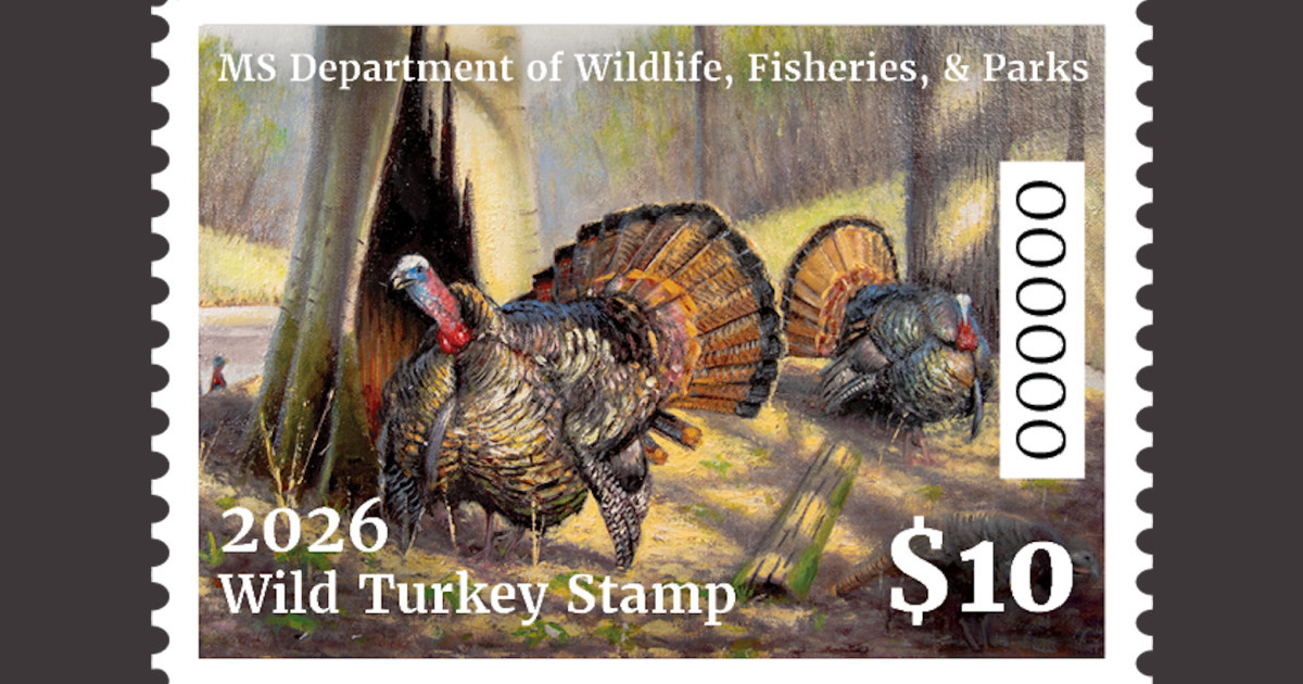Mississippi Launches Turkey Stamp This Spring Mississippi Launches Turkey Stamp This Spring