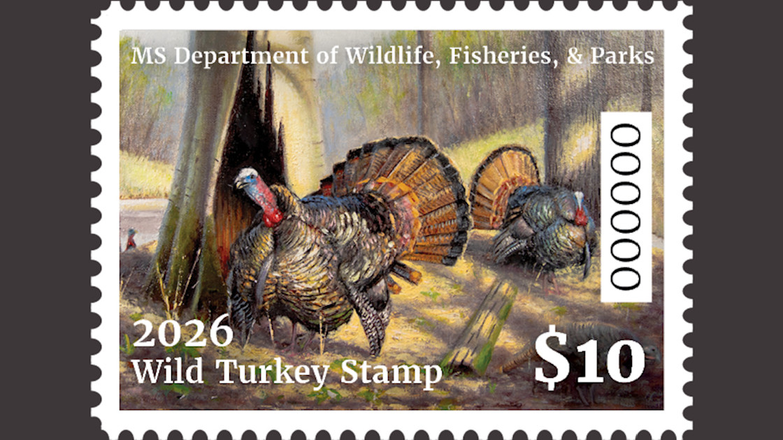 Mississippi Launches Turkey Stamp This Spring