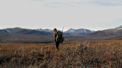 Yukon Giants: Northern Alaska Moose Part 1
