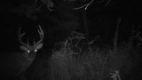 Use Your Trail Camera to Understand Nocturnal Bucks