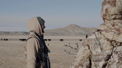 Duck and Goose Hunting in Wyoming