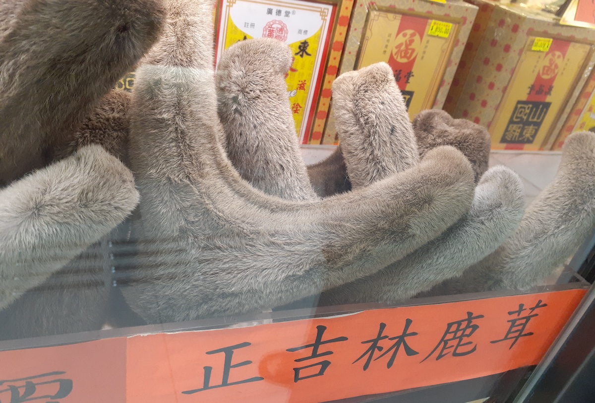 photo by SS PC22IN D12K via Wikimedia Commons