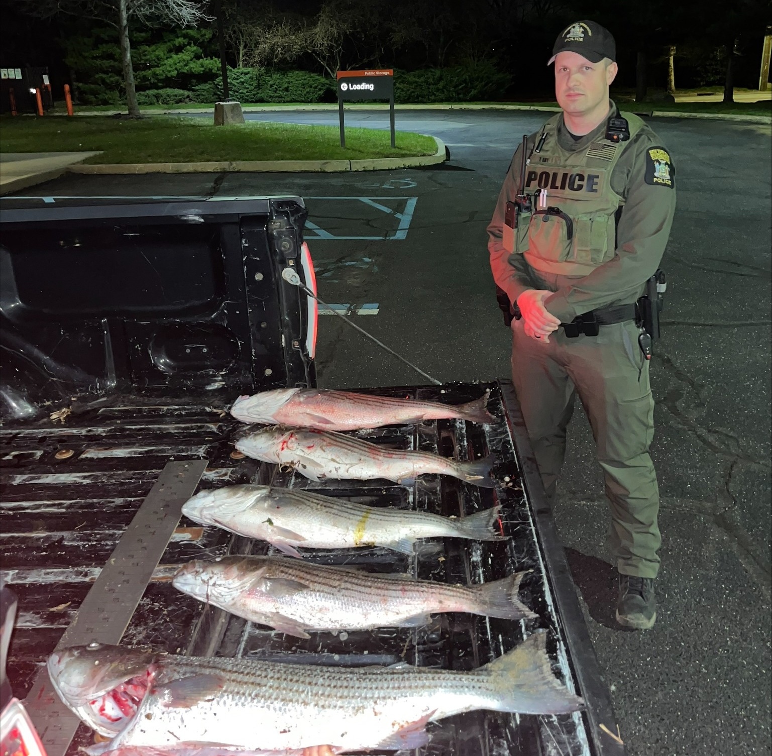 striped bass poachers