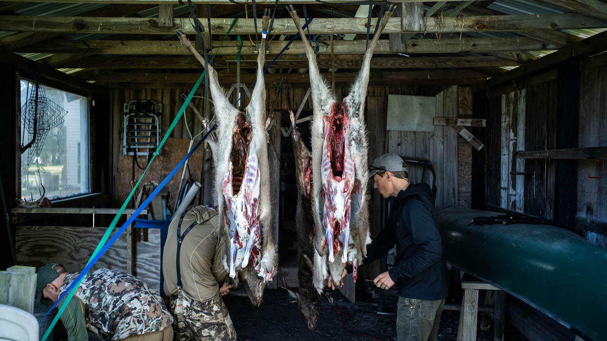 Come asciugare la carne di età