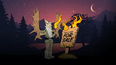 Year of the Gnome: Warden of the Wild