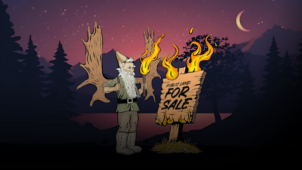 Year of the Gnome: Warden of the Wild