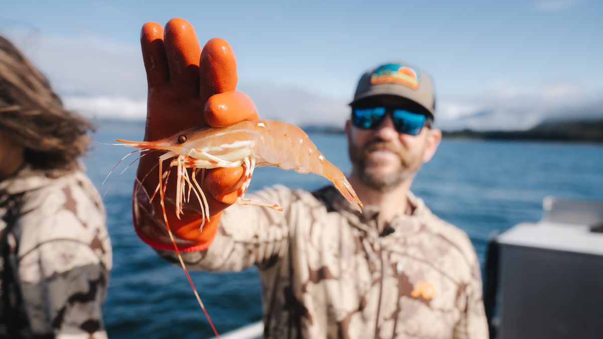 250616 Clay Newcomb AK BEAR-5