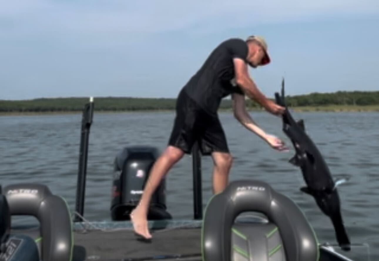 paddlefish release