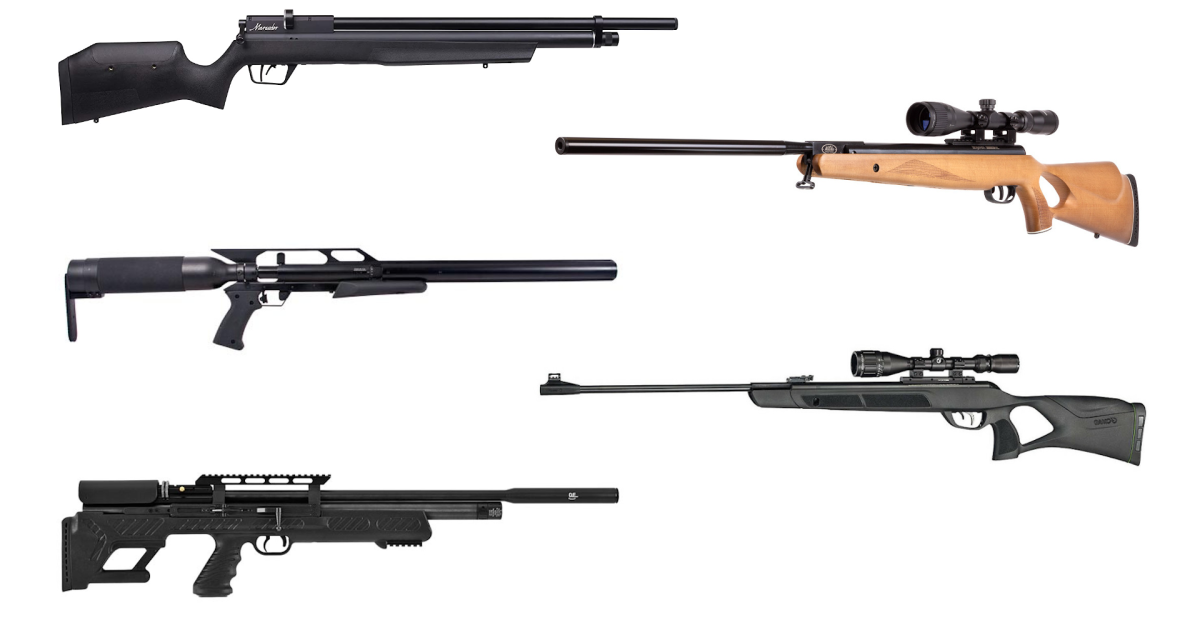 5 Best Air Rifles for Squirrel and Other Small Game | MeatEater Hunting
