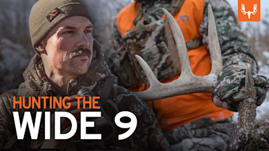 4 Years Hunting the Wide 9 | Michigan Archery Whitetail