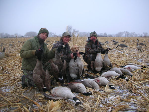 Canada geese can you eat outlet quinoa