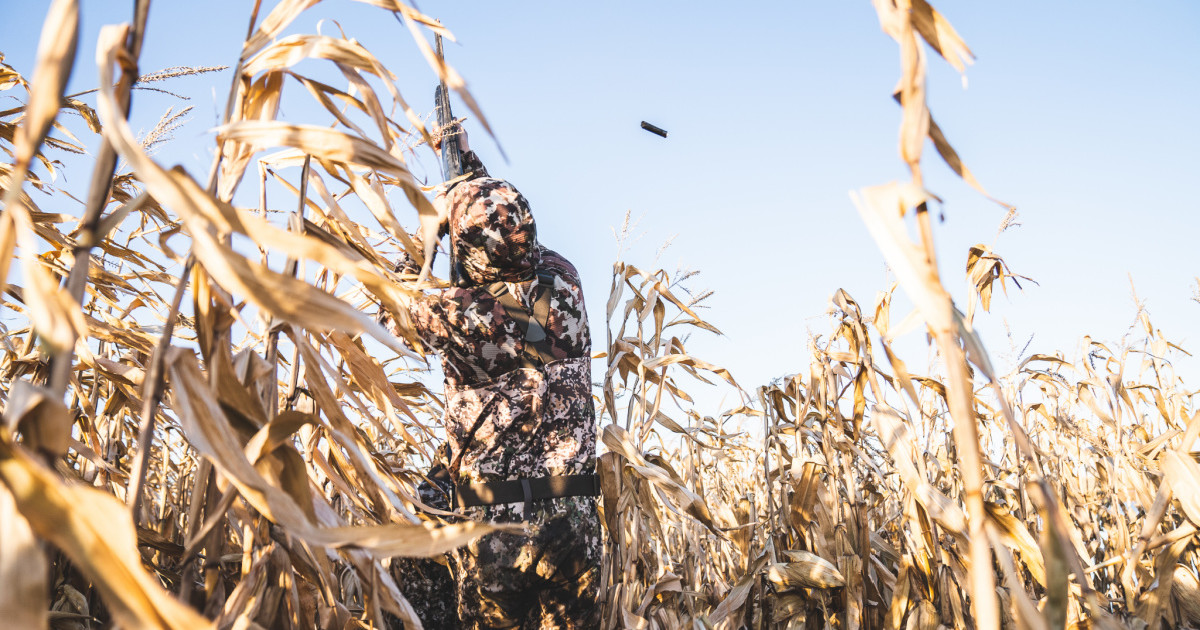 Goose Hunting from a Kayak: Master the Art of Waterfowl Harvesting
