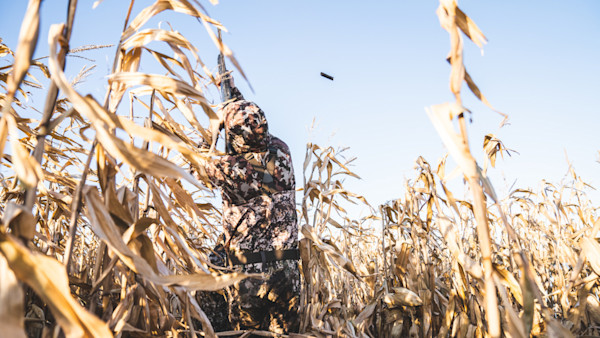 How To Jump Shoot a Limit of Ducks