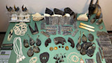 International Wildlife Trafficking Ring Busted in California