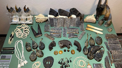 International Wildlife Trafficking Ring Busted in California
