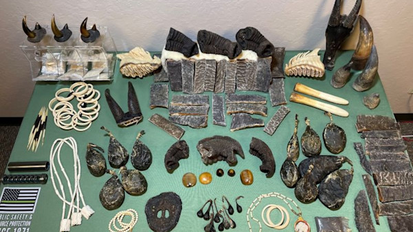 International Wildlife Trafficking Ring Busted in California