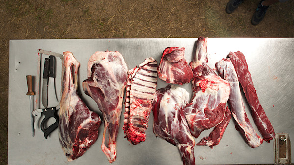 Field Butchering Tips Part 3: Dealing With Damaged Meat | MeatEater ...