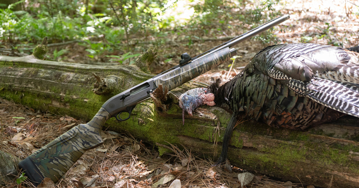 Beretta A300 Ultima Turkey Review: The Best 20 Gauge Turkey Gun Beretta A300 Ultima Turkey Review: The Best 20 Gauge Turkey Gun