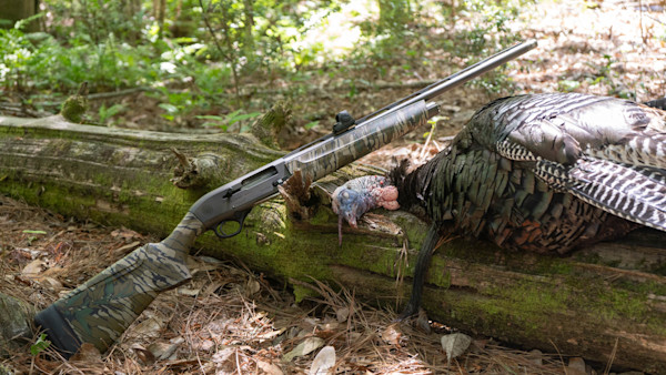 Berettaa300pic.jpg
