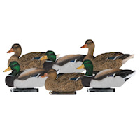 Mallard Fully Flocked Floating 6 Pack