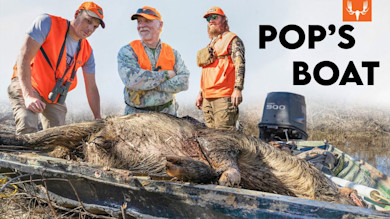 Shotgun Hunting Wild Pigs