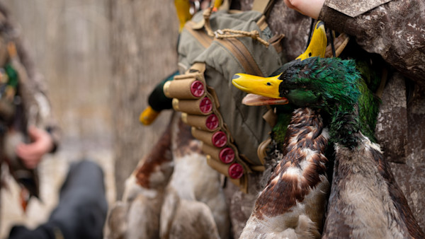 How to Hunt Ducks Without Calling