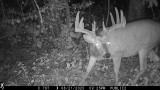 How To Get The Most Out Of Your Pre-Season Trail Cameras