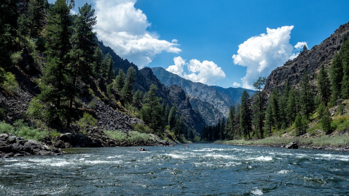 Forest Service Approves Mine In Salmon River Headwaters