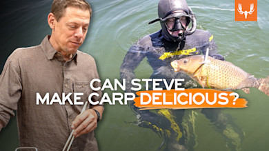 MEHQ_StevesCarp_03.jpg