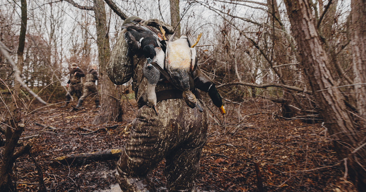 First Lite’s New Cache Waterfowl Pattern is Designed for Timber Hunts ...