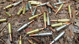 10 Best Modern Hunting Cartridges